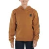 Carhartt Boys Brown Long Sleeve Graphic Sweatshirt